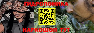 дурь Гай