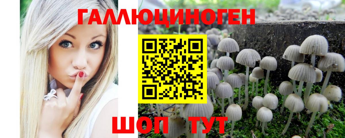 магазин  наркотиков  Псилоцибиновые грибы мухоморы  Москва  Вход с VPN  Псилоцибиновые грибы Cubensis 