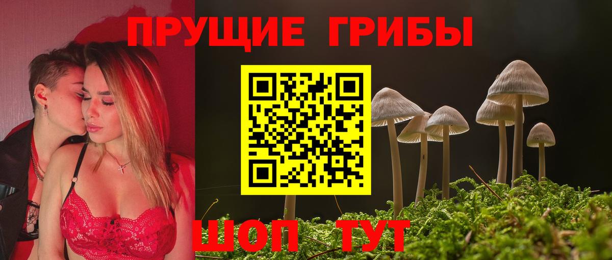 Галлюциногенные грибы мицелий Москва
